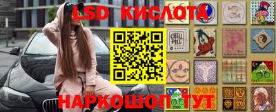 сатива Гатчина