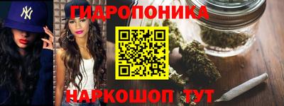 сатива Гатчина