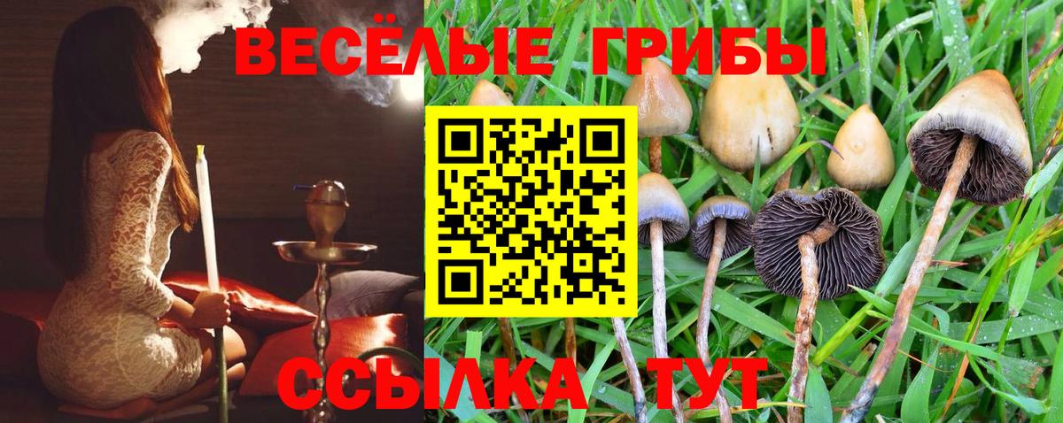Галлюциногенные грибы Cubensis  Псилоцибиновые грибы MAGIC MUSHROOMS  Ноябрьск  Вход с VPN 