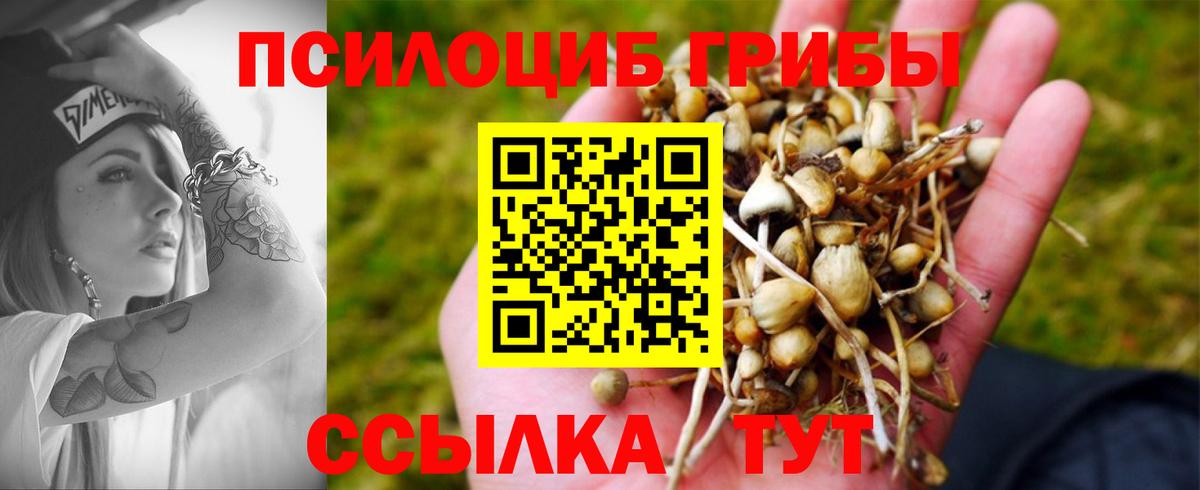 Псилоцибиновые грибы мухоморы Ноябрьск